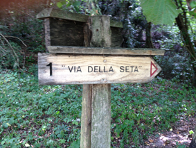 viaseta